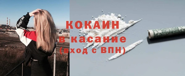 индика Богородицк