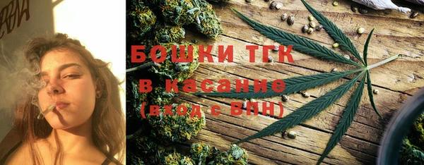 индика Богородицк