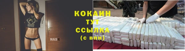 стаф Белоозёрский