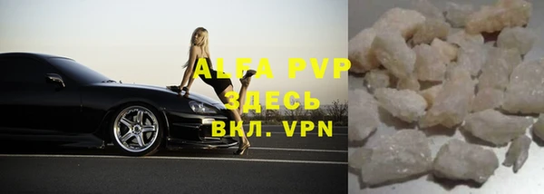 индика Богородицк