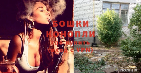 индика Богородицк
