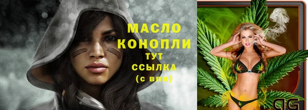 индика Богородицк