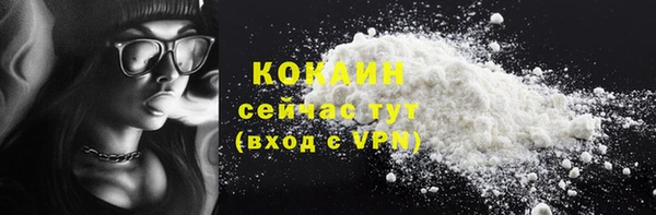 индика Богородицк