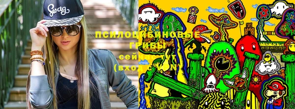 стаф Белоозёрский
