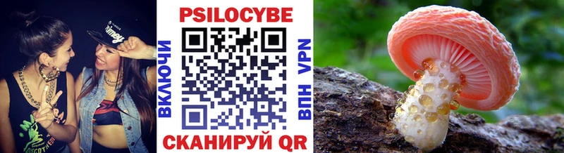 Псилоцибиновые грибы прущие грибы  Видное 