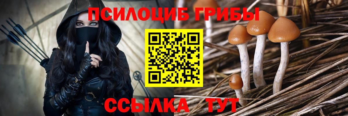 Галлюциногенные грибы мицелий Видное