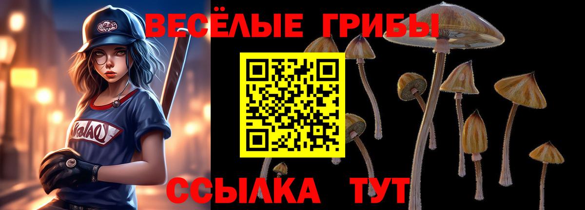 Канабис  Видное  ГАШ  Cocaine  МАРИХУАНА  Меф МЯУ МЯУ   Вход с VPN  ГАШ 