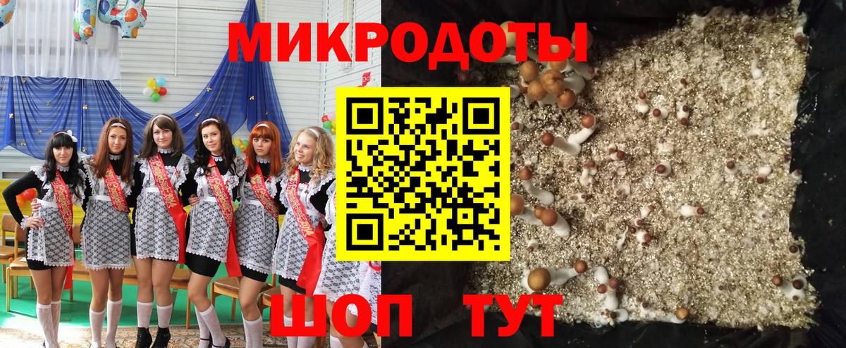 Видное  Псилоцибиновые грибы Cubensis  Вход с VPN 